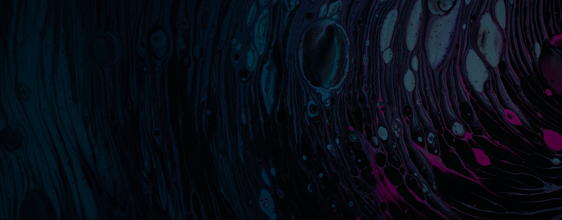 How Important Are Awards and Recognitions for German Web Agencies Hero Image